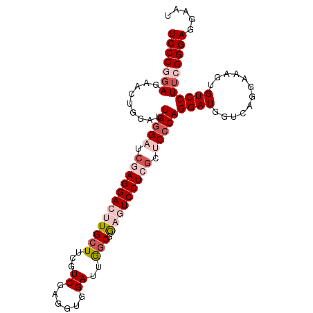 secondary structure