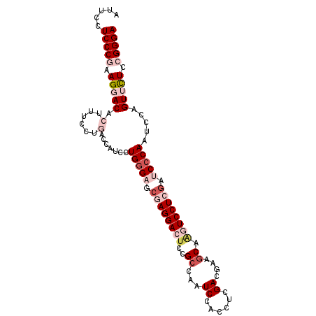 secondary structure