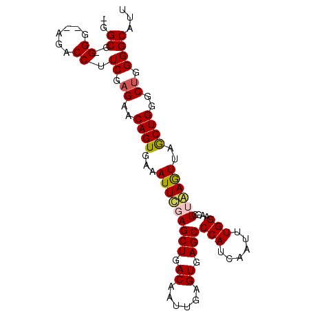 secondary structure