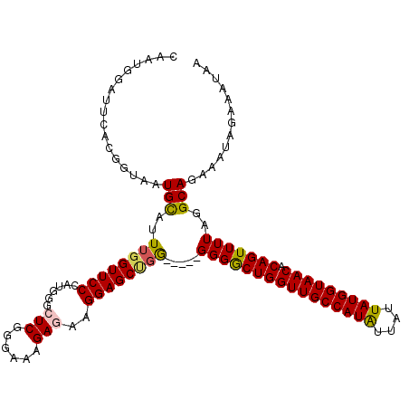 secondary structure