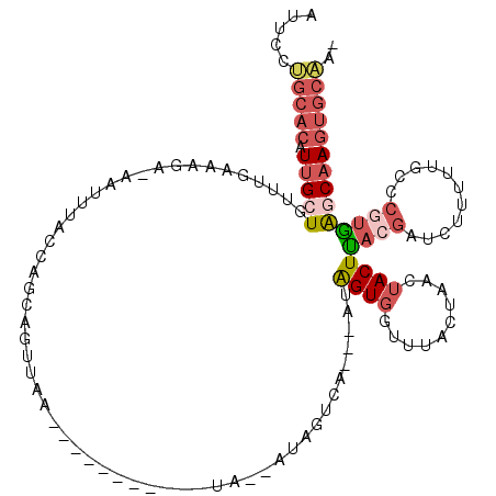 secondary structure