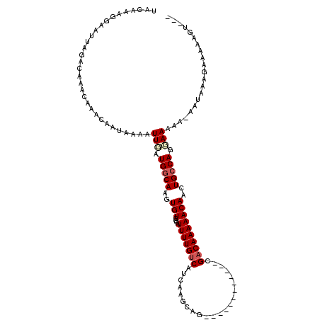 secondary structure