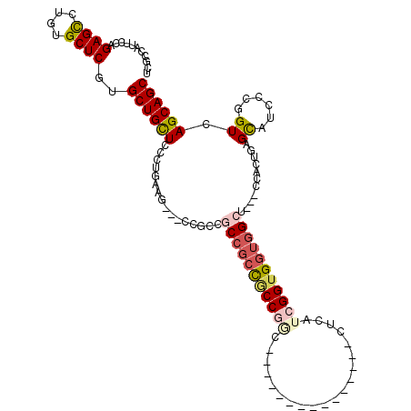 secondary structure