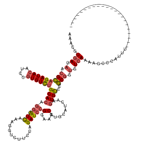 secondary structure