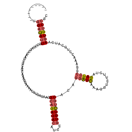 secondary structure