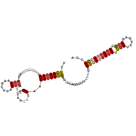 secondary structure