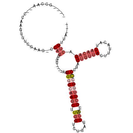 secondary structure