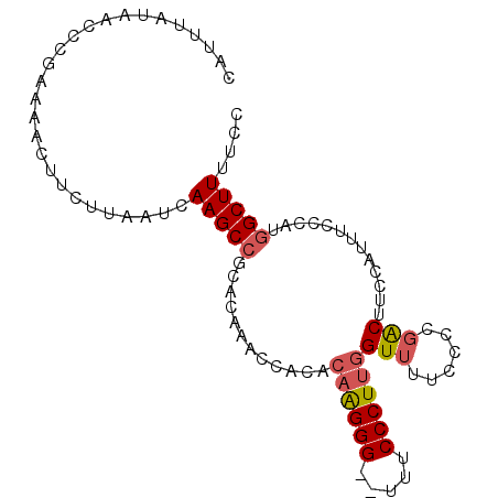 secondary structure