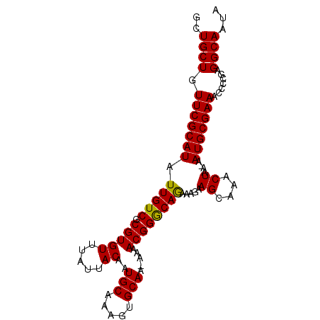secondary structure