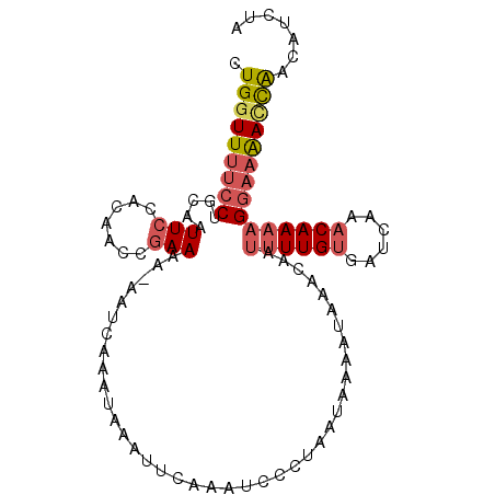 secondary structure