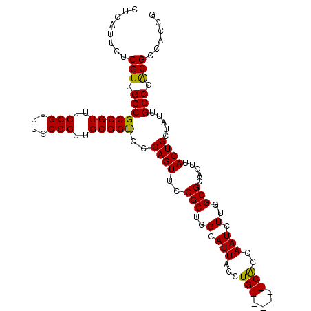 secondary structure
