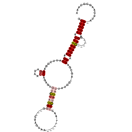 secondary structure