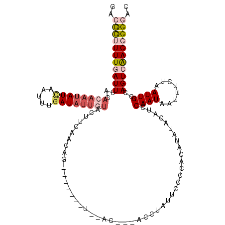 secondary structure