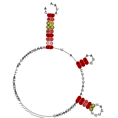 secondary structure