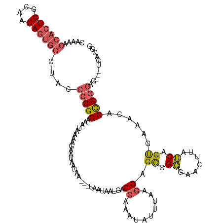 secondary structure