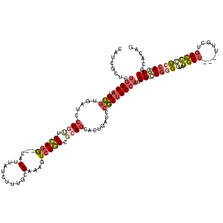 secondary structure
