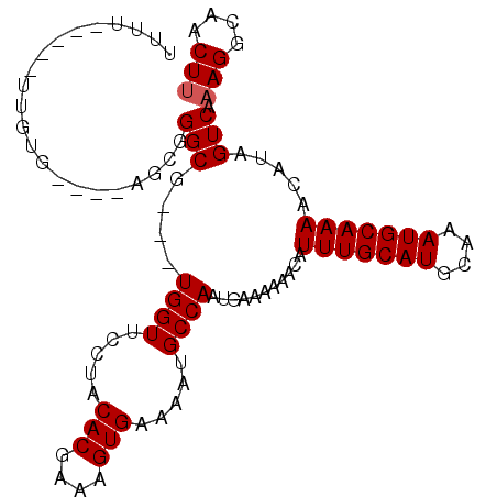 secondary structure