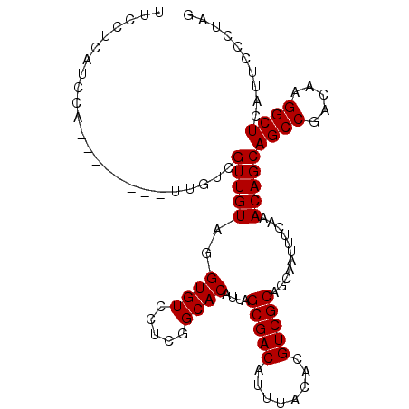 secondary structure