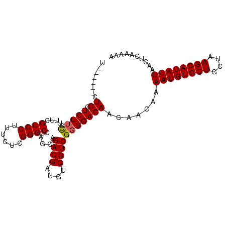secondary structure