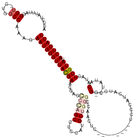 secondary structure