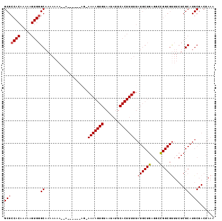 dotplot