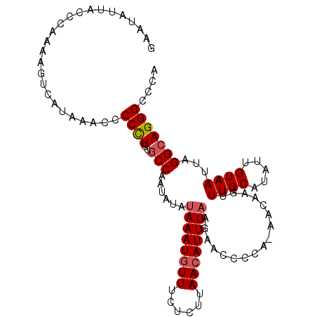 secondary structure