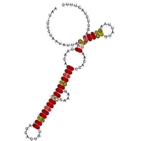secondary structure