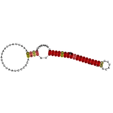 secondary structure