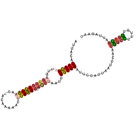 secondary structure