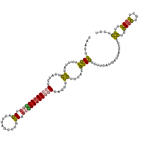 secondary structure