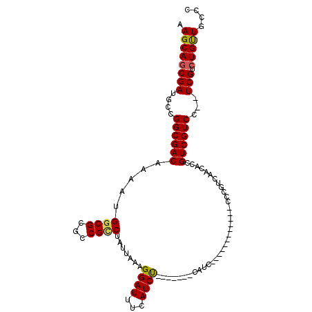 secondary structure