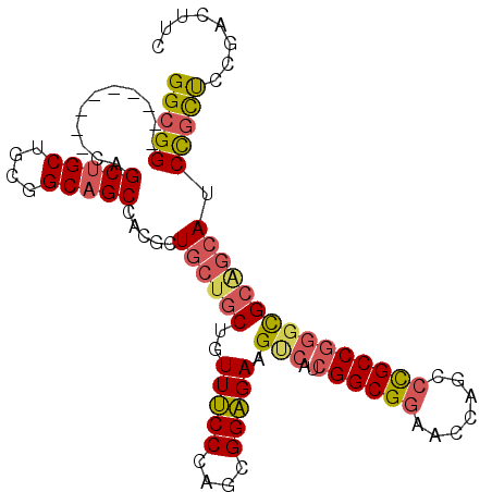 secondary structure