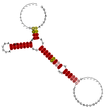 secondary structure