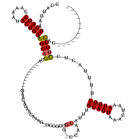 secondary structure