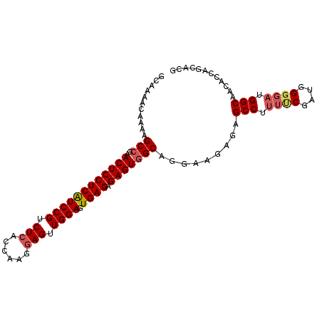 secondary structure