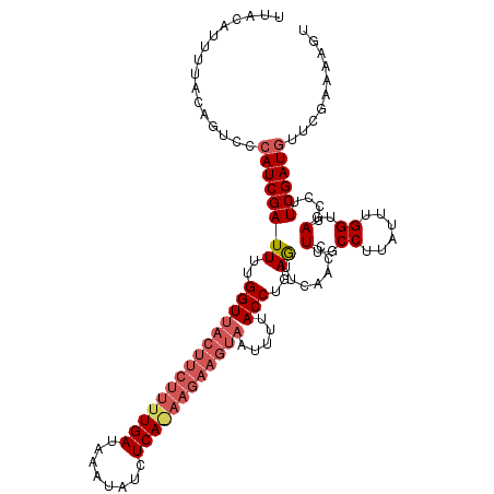 secondary structure