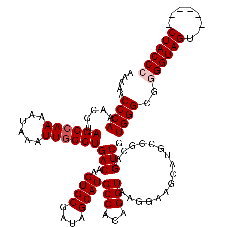 secondary structure