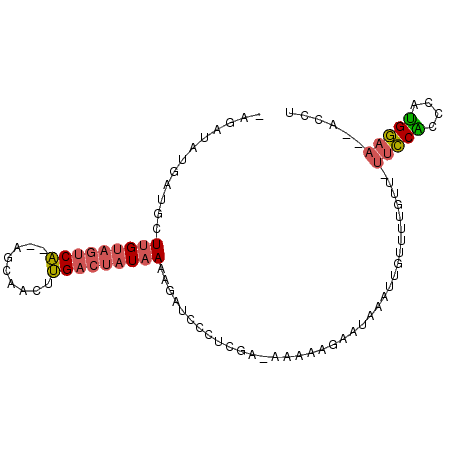 secondary structure