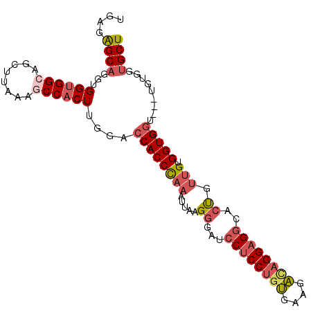 secondary structure