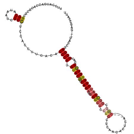 secondary structure