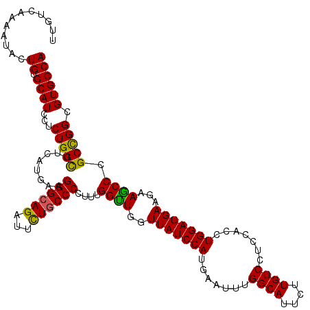 secondary structure