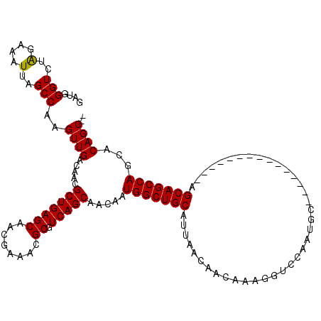 secondary structure