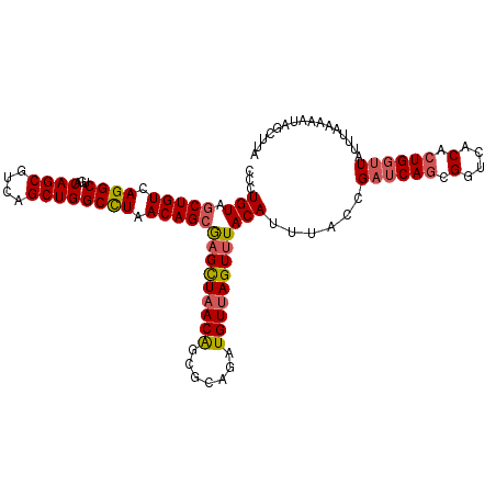 secondary structure