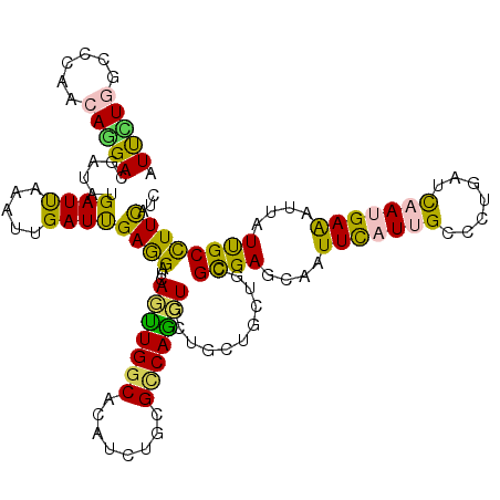 secondary structure