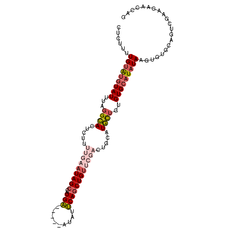 secondary structure