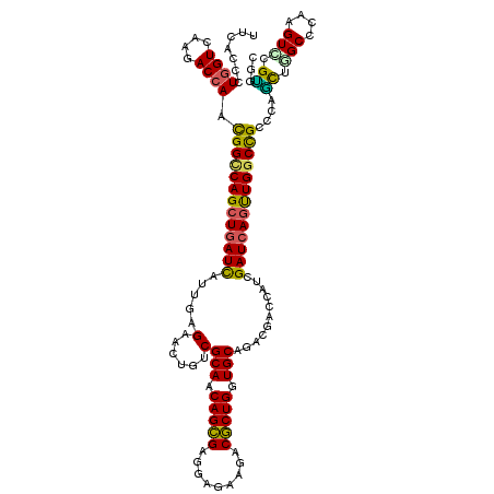 secondary structure