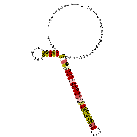 secondary structure