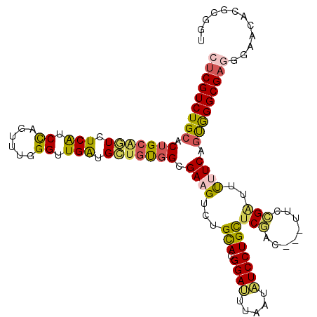 secondary structure