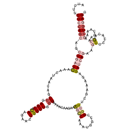 secondary structure