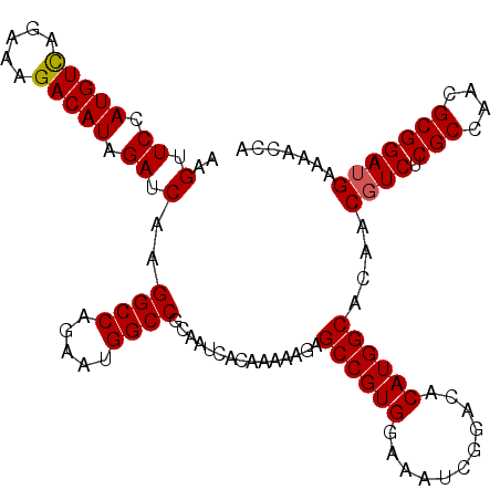 secondary structure